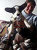 Welsh corgi cardigan puppy Zhacardi AELITA with her owners